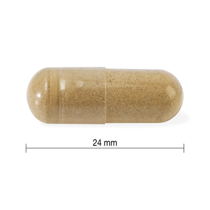 Jamieson High-Potency Ashwagandha 6,000 mg, Increases Resistance to Stress, Adaptogen, and Enhances Memory. Non-GMO, Vegetarian, Gluten-Free, Only One Per Day, 60 Capsules 🍁 All In One Marketplace Canada