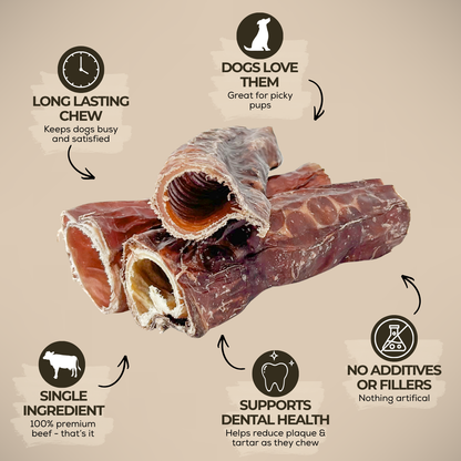 6 Inch Trachea Wrapped in Jerky