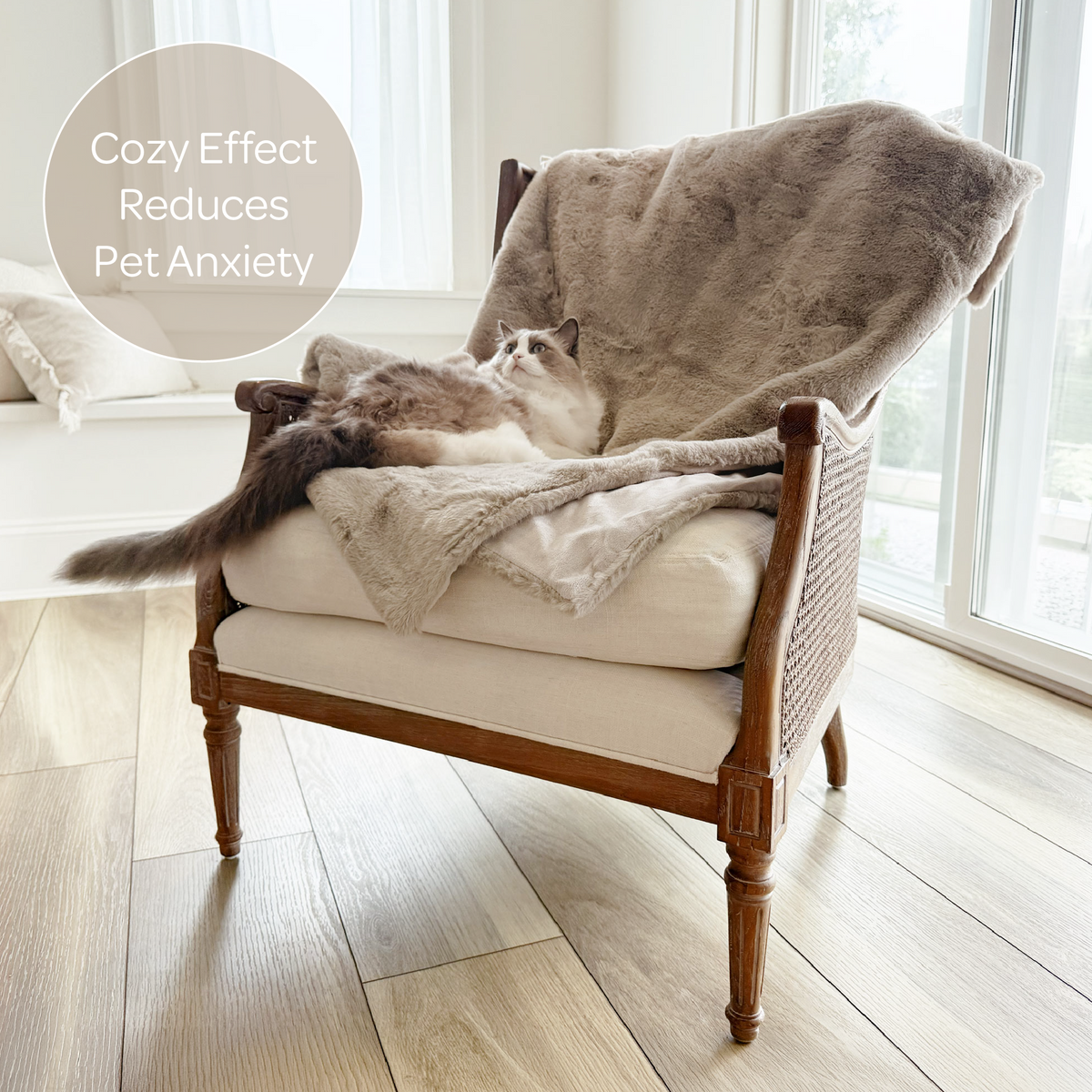 mini pixie throw
