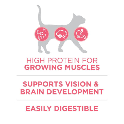 Purina ONE +Plus Dry Kitten Food, Healthy Kitten with Chicken 3kg 🍁 All In One Marketplace Canada