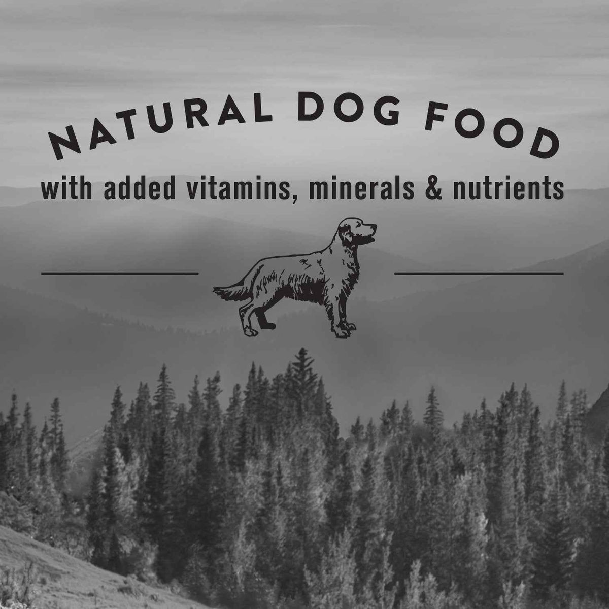 Nature's Recipe Grain Free Natural Dry Dog Food Chicken, Sweet Potato & Pumpkin Recipe 10.8 kg (Pack of 1) 🍁 All In One Marketplace Canada