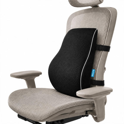 QUTOOL Lumbar Support Pillow for Office Chair, High-Density Memory Foam Back Cushion with Dual Adjustable Straps, Breathable 3D Mesh Cover, Ergonomic Back Support for Everyday Sitting 🍁 All In One Marketplace Canada