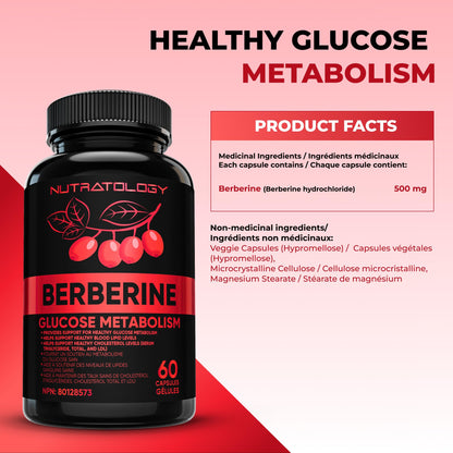 Nutratology® Berberine Supplement | Canadian-Made | Max Potency 500MG Per Capsule - Supports Glucose Metabolism & Healthy Blood Sugar Levels Through Efficient Metabolism Of Sugar & Fats - 60 Capsules 🍁 All In One Marketplace Canada
