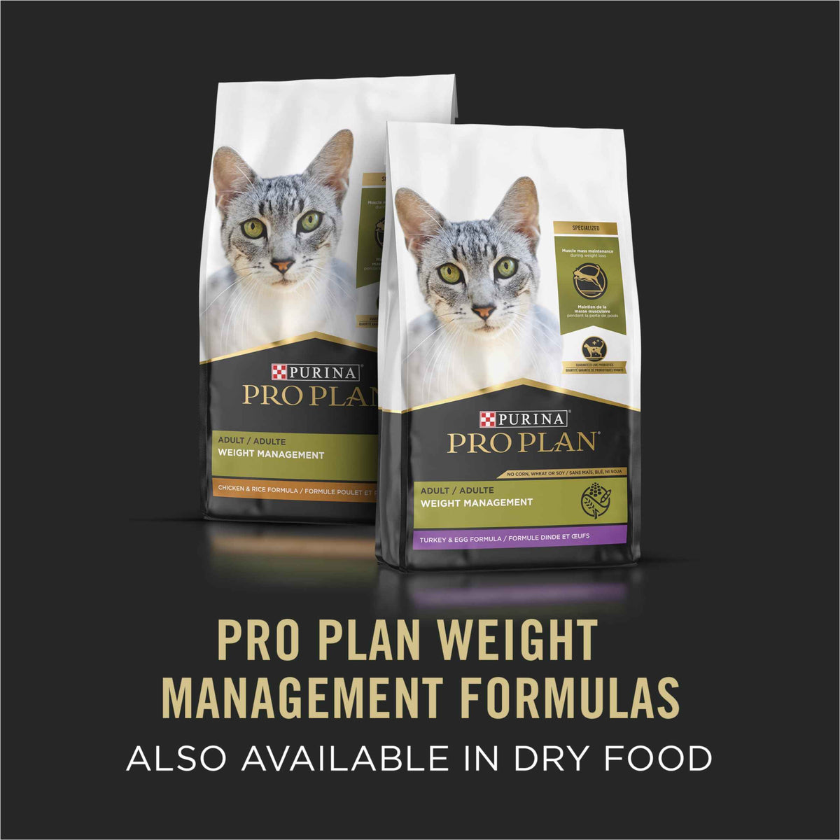 Purina Pro Plan Wet Cat Food, Focus, Adult Weight Management Turkey and Rice Entre, 3-Ounce Can, Pack of 24 🍁 All In One Marketplace Canada