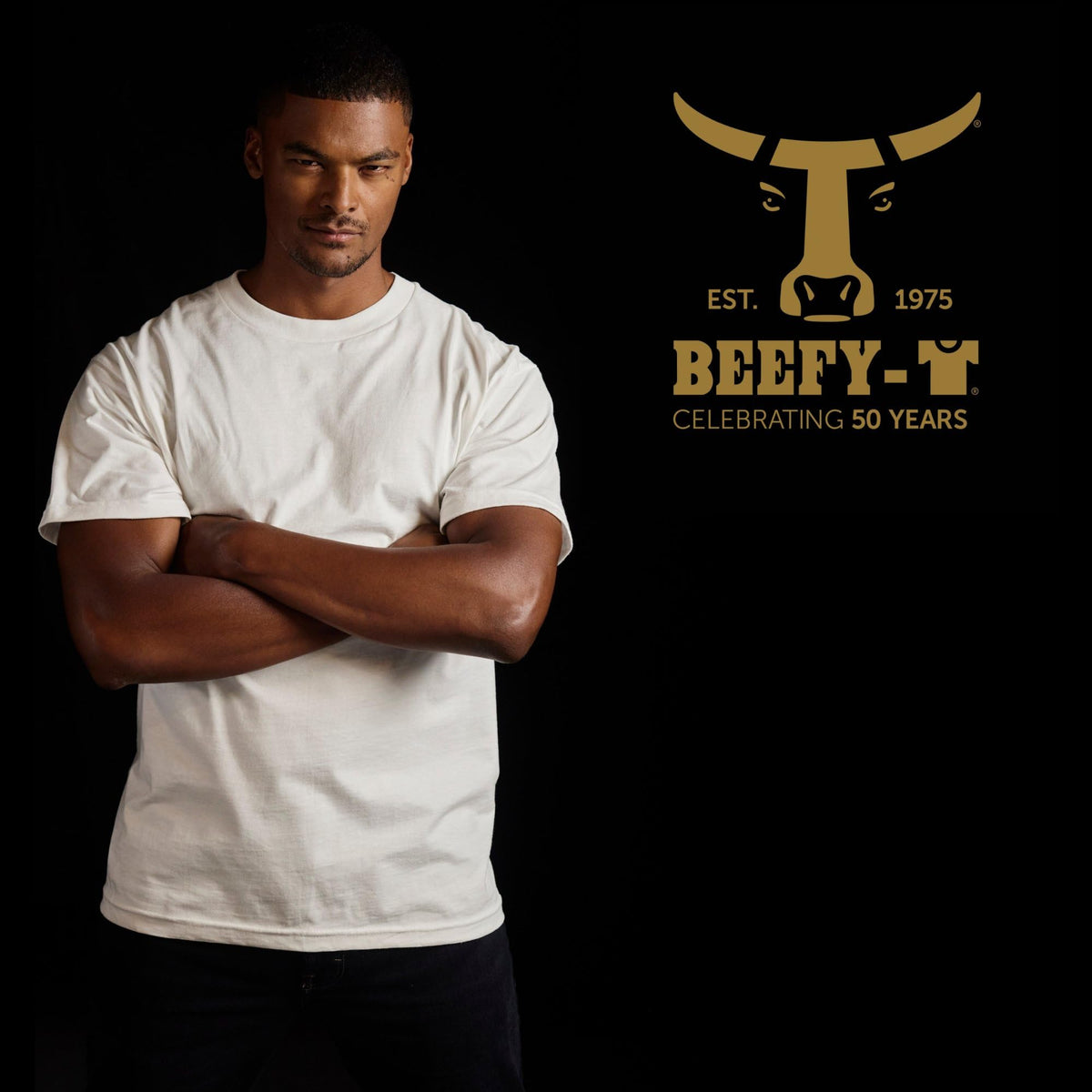 Hanes Men's Short Sleeve Beefy-T (Pack of 2), Black, 3X-Large 🍁 All In One Marketplace Canada