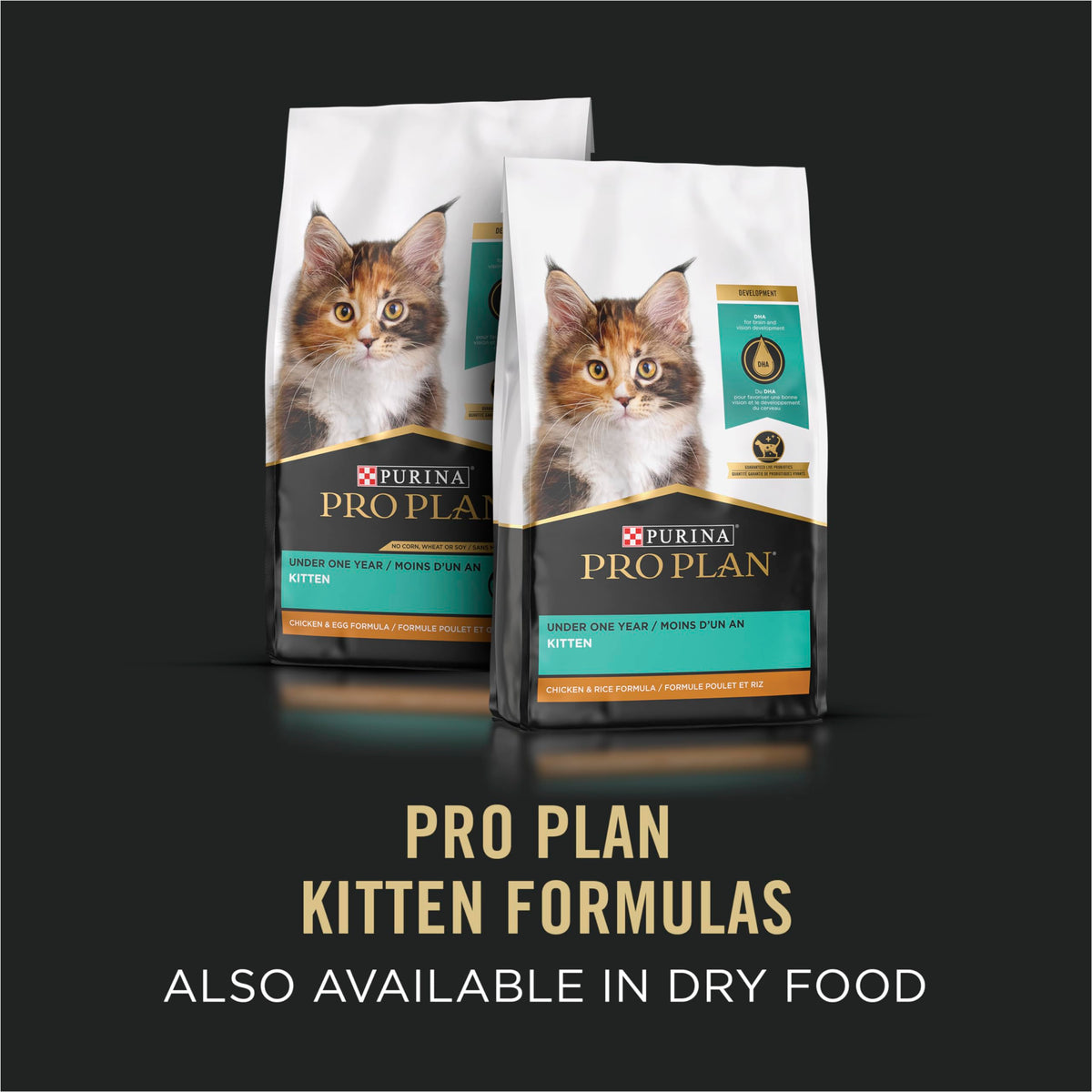 Purina Pro Plan Wet Cat Food, Focus, Kitten Chicken and Liver Entrée, 3-Ounce Can, Pack of 24 🍁 All In One Marketplace Canada
