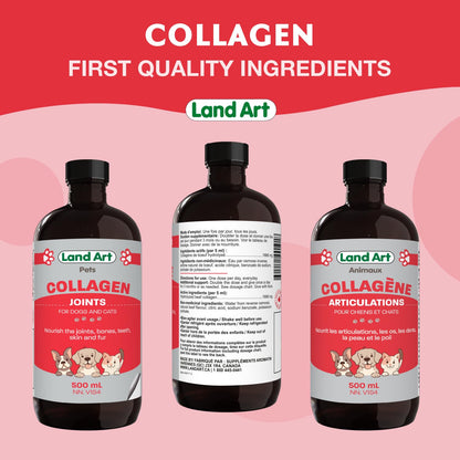 Pet Collagen Supplement - Grass Fed Beef Hydrolyzed - Natural Beef Flavour - Joint Care - Mobility & Health - Gluten, GMO & Sugar Free - for Dog & Cats - Made in Canada - 500ml 🍁 All In One Marketplace Canada