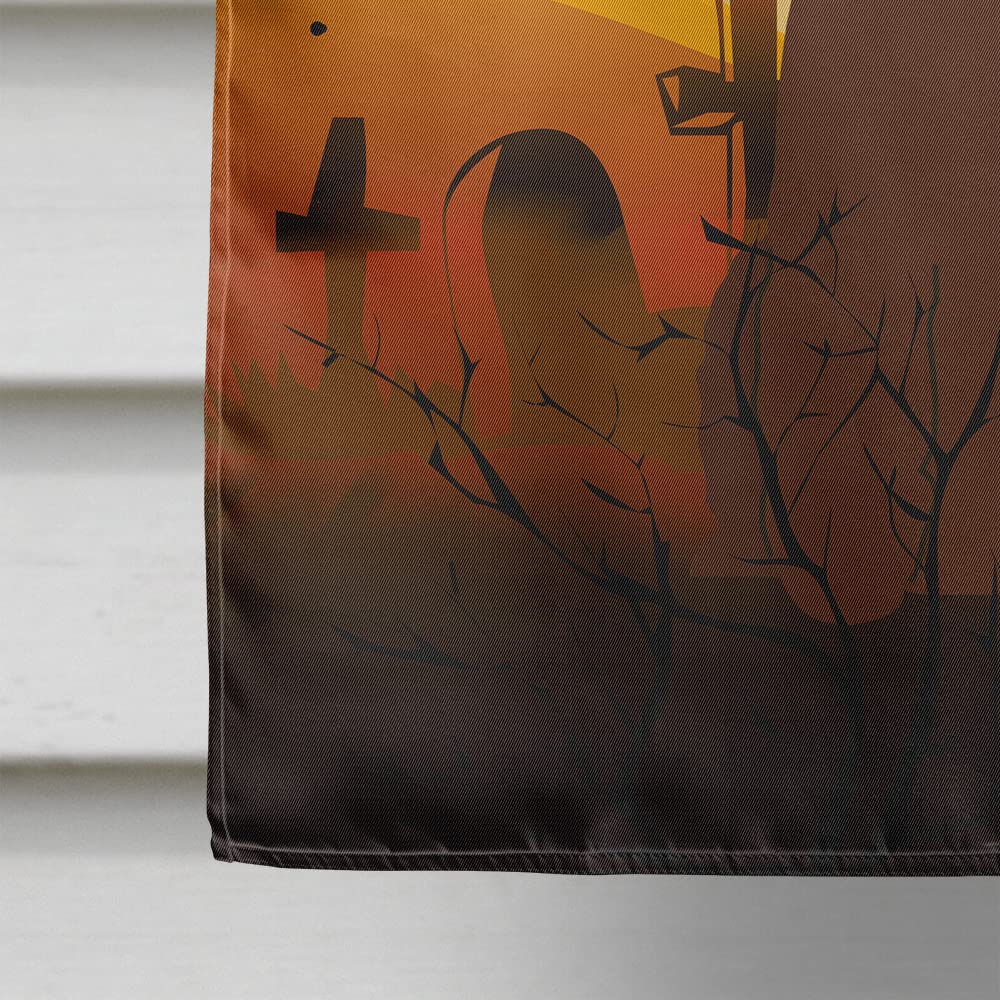 Caroline's Treasures BB4329CHF Halloween Irish Water Spaniel Flag Canvas House Size, Large, Multicolor