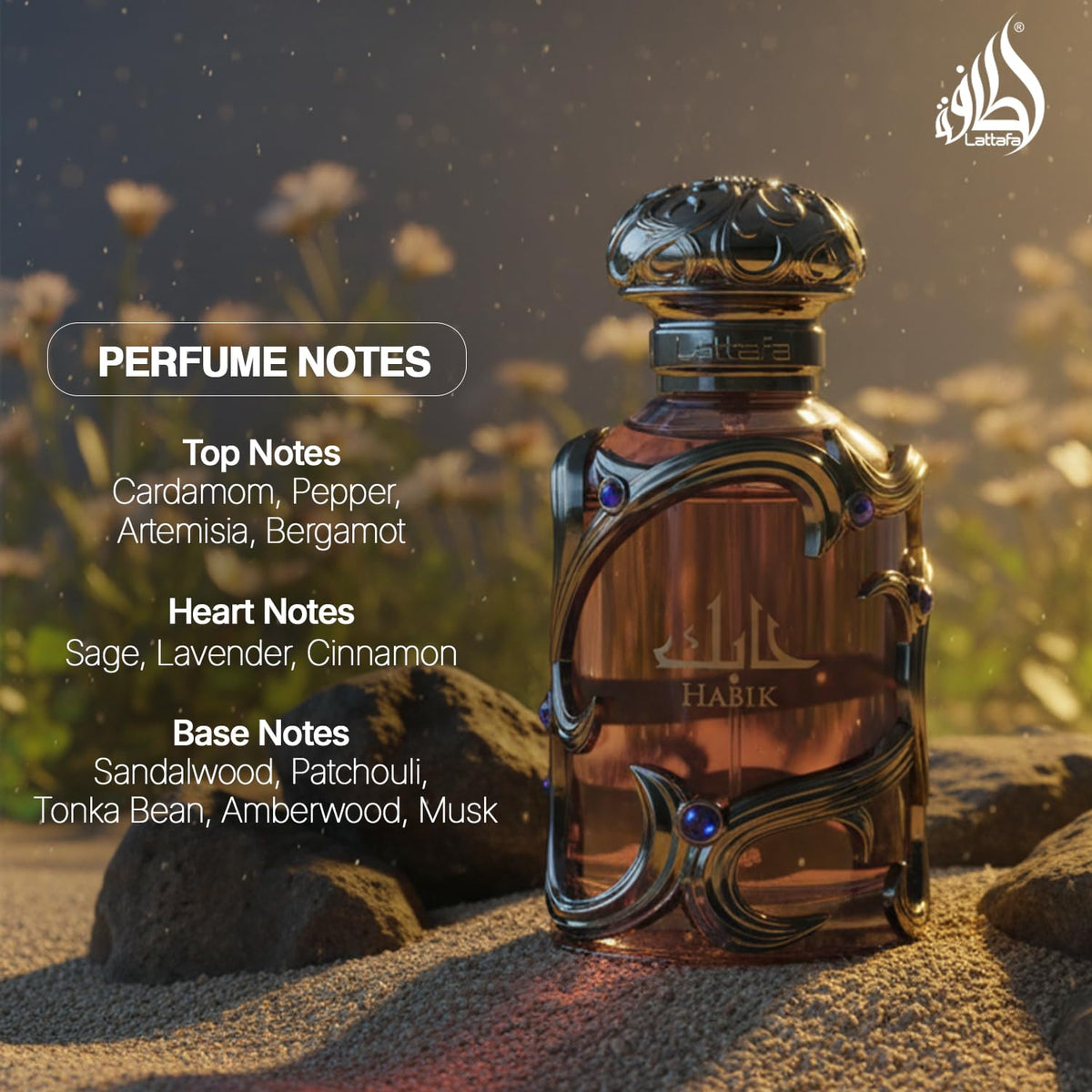 Lattafa Habik – Spicy, Aromatic, Woody, Musky – Eau de Parfum Spray Long-Lasting Fragrance for Men, 3.4 Ounce / 100 ml 🍁 All In One Marketplace Canada