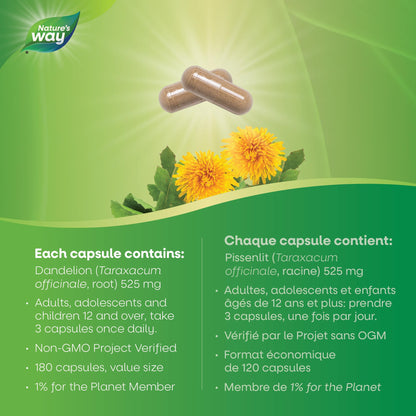 Nature's Way Dandelion Root - Digestion Supplement – Diuretic Laxative - Non-GMO Verified - 180 Vegetarian Capsules, Value Size 🍁 All In One Marketplace Canada