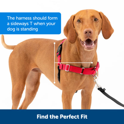 PetSafe Easy Walk Harness, No Pull Harness for Dogs, Adjustable Harness with Included Matching Lead, Black, Large 🍁 All In One Marketplace Canada