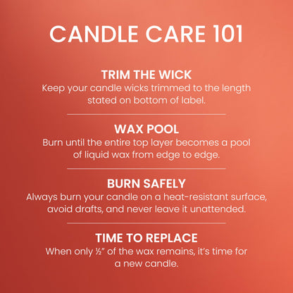 Yankee Candle Large Jar Scented Candle with up to 150 Hour Burn Time, Premium Plant Wax Blend for Cleaner Consistent Burn and Room Filling Fragrance, 22 oz, Spiced Pumpkin 🍁 All In One Marketplace Canada