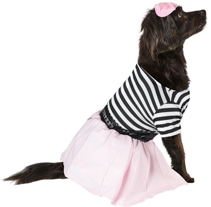 Rubies Costume Co Halloween Classics Collection Pet Costume, Medium, 50s Girl Dress