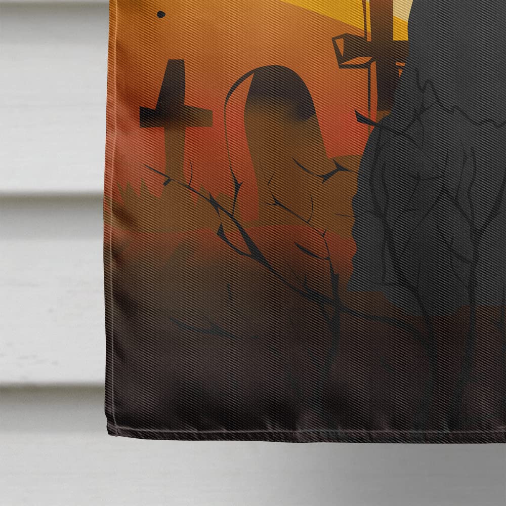 Caroline's Treasures BB4332CHF Halloween Giant Schnauzer Flag Canvas House Size, Large, Multicolor