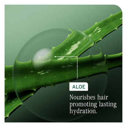Biolage Detangling Solution for Smooth, Manageable Hair, 500 mL 🍁 All In One Marketplace Canada