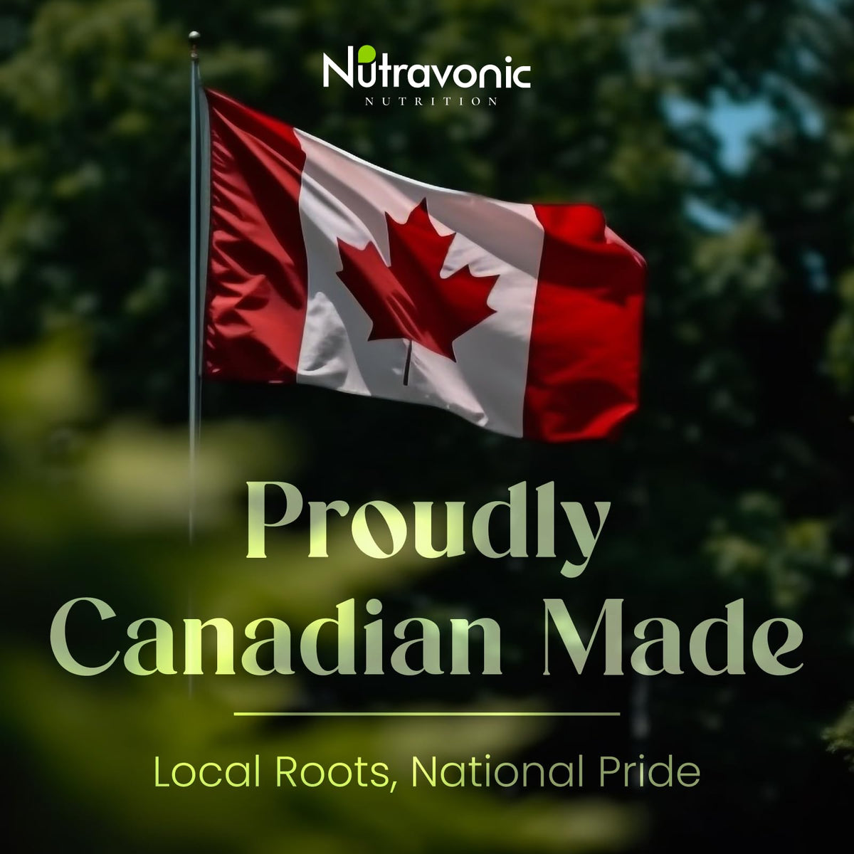 Nutravonic Berberine Supplements 1000mg Per Serving, 500mg Per Capsule | Made in Canada I Supports Healthy Glucose & Lipid Metabolism | Non-GMO, Vegan, Gluten-free, 120 Easy-to-Swallow Capsules 🍁 All In One Marketplace Canada