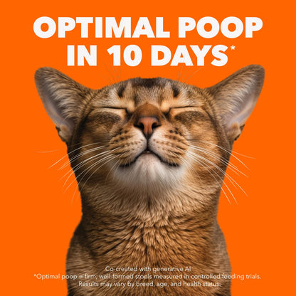 IAMS Proactive Health Indoor Weight & Hairball Care Adult Dry Cat Food – Chicken & Turkey – 3.18KG (7LB) Bag 🍁 All In One Marketplace Canada
