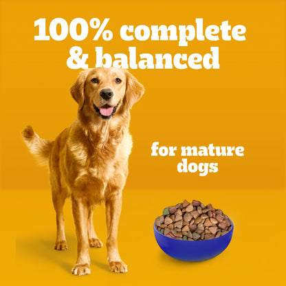 PEDIGREE Vitality+ Dry Food for Adult Dogs, Hearty Beef & Vegetable Flavour, 20kg Bag 🍁 All In One Marketplace Canada