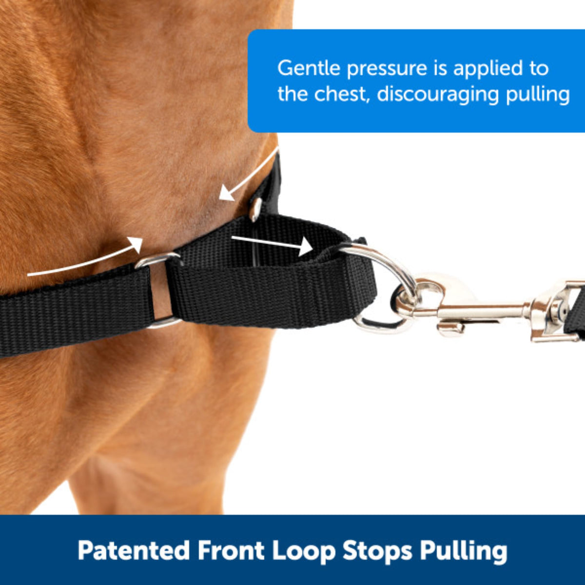 PetSafe Easy Walk Harness, No Pull Harness for Dogs, Adjustable Harness with Included Matching Lead, Black, Large 🍁 All In One Marketplace Canada