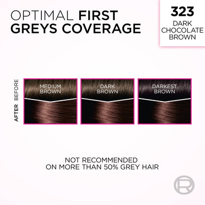 L'Oréal Paris Casting Crème Gloss Hair Dye, 323 Dark Chocolate Brown, Semi permanent Hair Color with Hair Gloss, 1 Kit (Pack of 2) 🍁 All In One Marketplace Canada