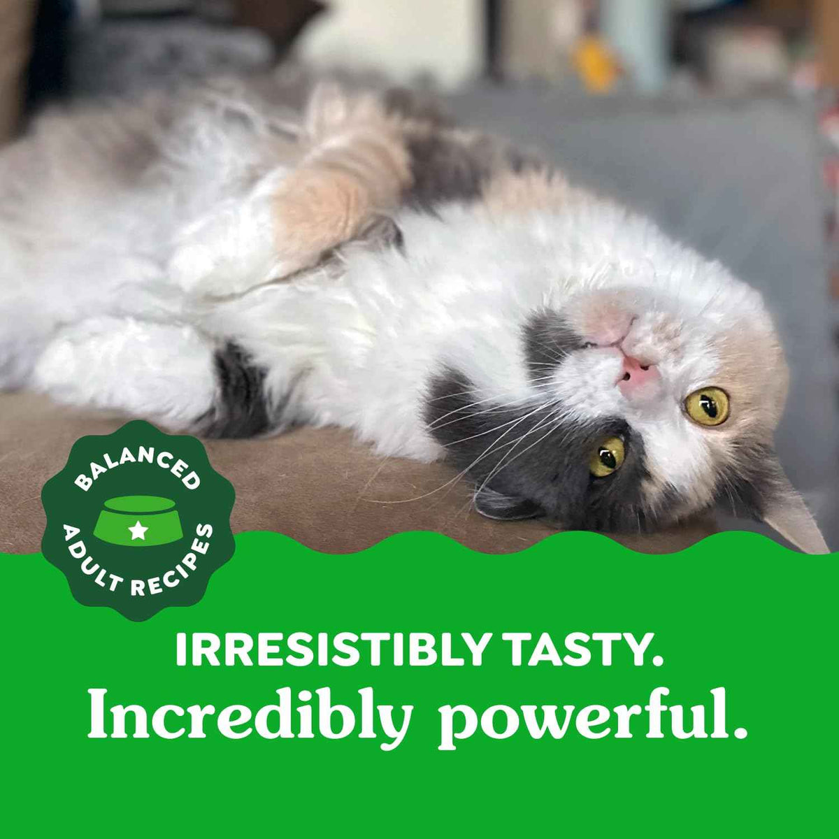 GREENIES Feline Cat Treats Natural Dental Care, Oven Roasted Chicken Flavour, 21oz. Tub 🍁 All In One Marketplace Canada