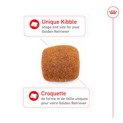 Royal Canin Golden Retriever Adult Dry Dog Food, 30 lb bag 🍁 All In One Marketplace Canada