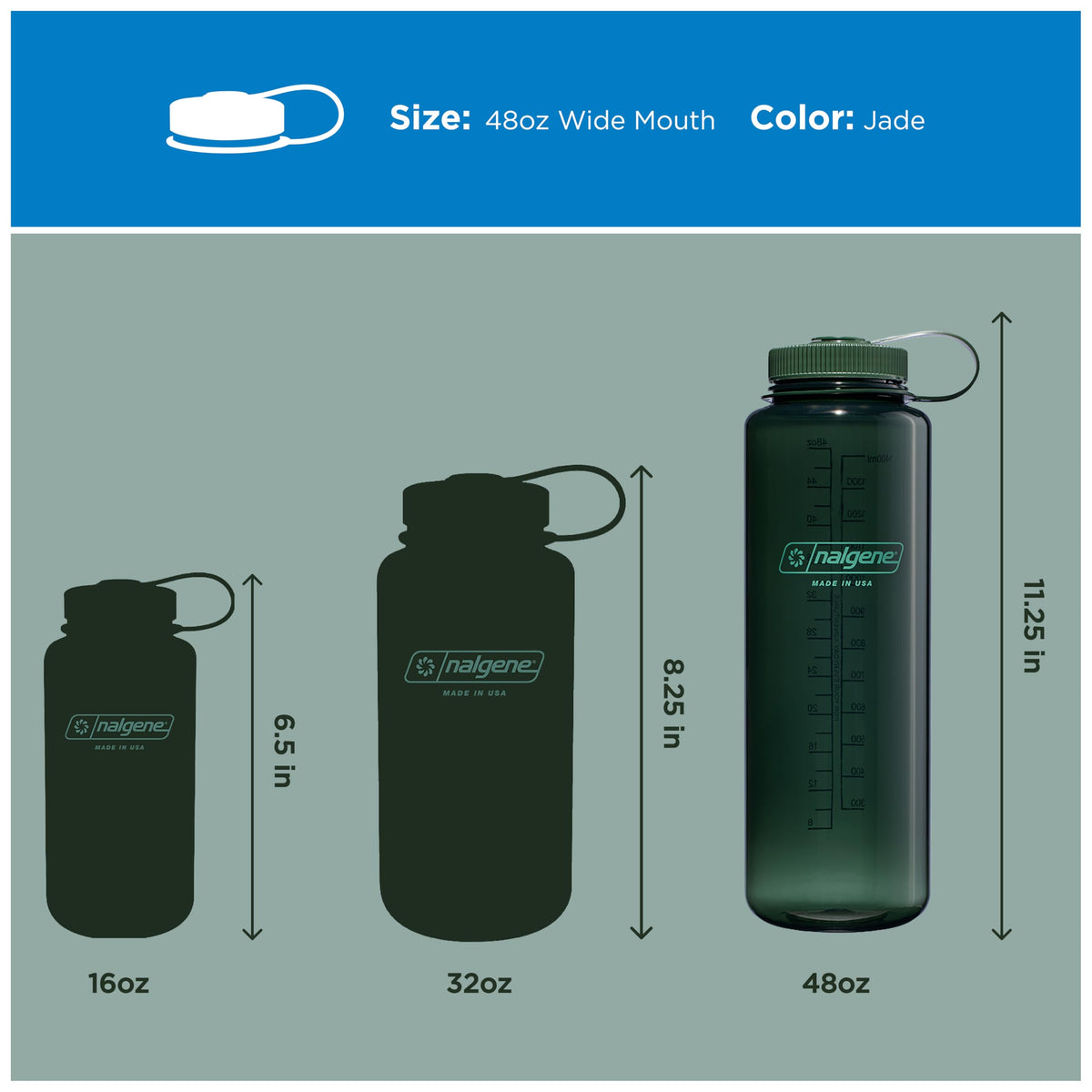 Nalgene 48 oz Wide Mouth Silo Water Bottle | BPA-Free, Durable & Leak Proof, Large & Lightweight for Hiking, Gym & Sports, Jade 🍁 All In One Marketplace Canada