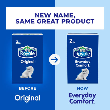 Royale Everyday Comfort 2 Ply Facial Tissue, 24 Tissue Boxes, 100 Tissues per Box 🍁 All In One Marketplace Canada