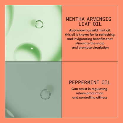 Nioxin System 4 Scalp + Hair Conditioner - Hair Thickening Conditioner for Damaged Hair with Progressed Thinning, 16.9 fl oz (Packaging May Vary) 🍁 All In One Marketplace Canada