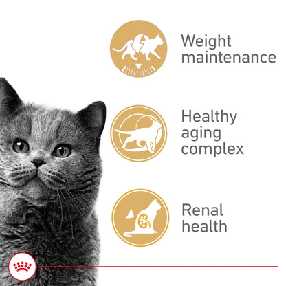 Royal Canin Appetite Control Spayed/Neutered 12+ Dry Adult Cat Food, 7 lb Bag 🍁 All In One Marketplace Canada