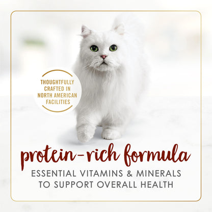 Fancy Feast Wet Cat Food, Pate Beef Flavour - 85 g Can (24 Pack) 🍁 All In One Marketplace Canada