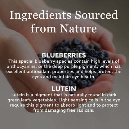 New Nordic Blue Berry Strong 120 Coated Tablets, 60-Day Supply, Vegan Eye Support Supplement with Bilberry & Lutein for Clear Vision & Macular Health 🍁 All In One Marketplace Canada