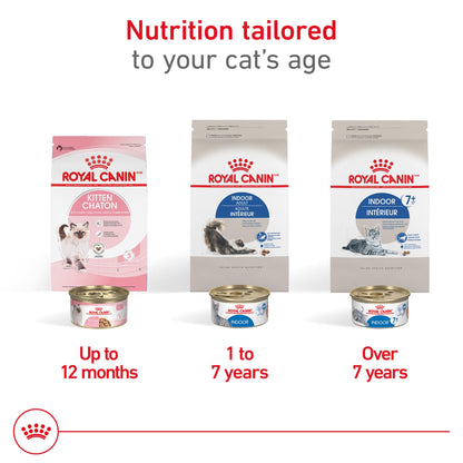 Royal Canin Feline Health Nutrition Dry Indoor Cat Food, Supports Healthy Weight, Digestive Health and Hairball Management, 3 lb Bag 🍁 All In One Marketplace Canada