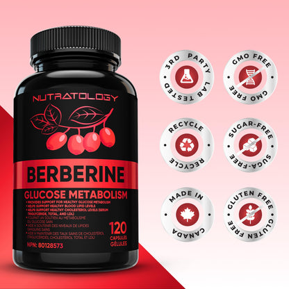 Nutratology® Berberine Supplement | Canadian-Made | Max Potency 500MG Per Capsule - Supports Glucose Metabolism & Healthy Blood Sugar Levels Through Efficient Metabolism Of Sugar & Fats - 120 Capsules 🍁 All In One Marketplace Canada