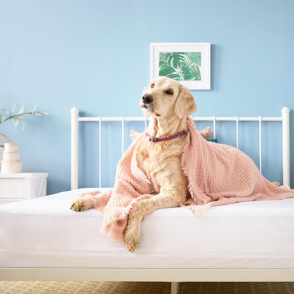 LINENSPA Zippered Encasement Waterproof, Dust Mite Proof, Bed Bug Proof, Hypoallergenic Breathable Mattress Protector, Twin, White 🍁 All In One Marketplace Canada