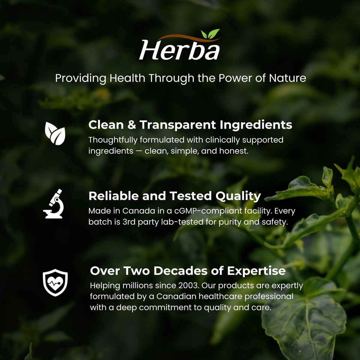 Herba Hyaluronic Acid Supplement 200mg - 100 Capsules | 100% Purity Hyaluronic Acid Capsules with Vitamin C to Support Joint and Bone Health | Made in Canada 🍁 All In One Marketplace Canada