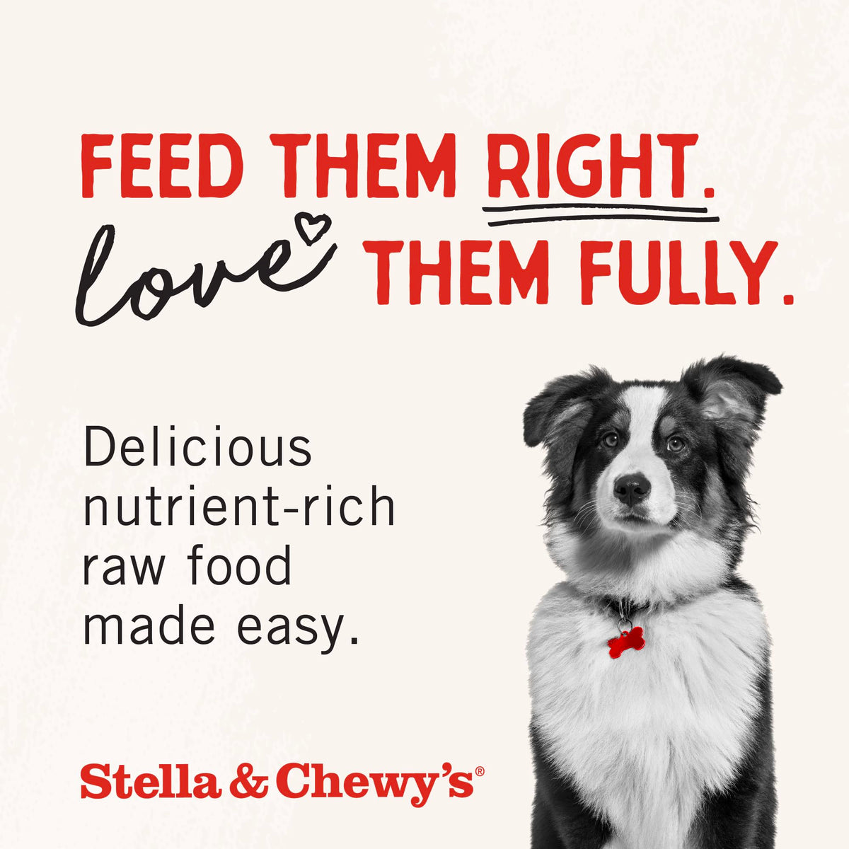 Stella & Chewy’s Freeze Dried Raw Dinner Patties – Grain Free Dog Food, Protein Rich Chewy’s Chicken Recipe – 708g Bag 🍁 All In One Marketplace Canada
