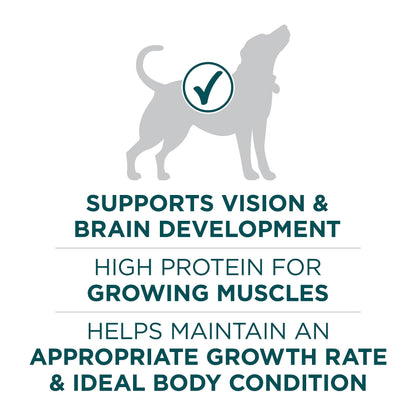 Purina ONE +Plus Large Breed Dry Puppy Food with Chicken - 14 kg Bag 🍁 All In One Marketplace Canada