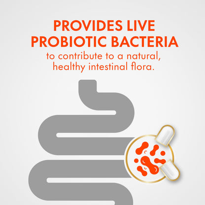 Align Advanced Probiotic Digestive Support, IBS Symptom Relief: Gas, Abdominal Discomfort, Bloating, Helps Healthy Intestinal Flora for Women & Men, 21 Capsules 🍁 All In One Marketplace Canada
