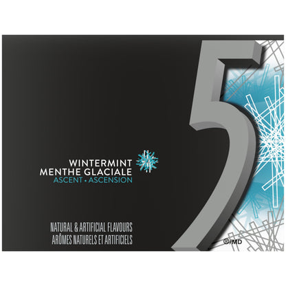 5 GUM, Wintermint-Ascent Flavoured Sugar Free Chewing Gum, 15 Sticks, 10 Packs 🍁 All In One Marketplace Canada