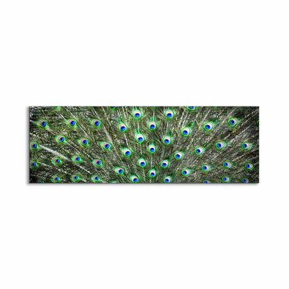 Große Leinwand Wandkunst – Pfauenfedern – Naturkunstwerk