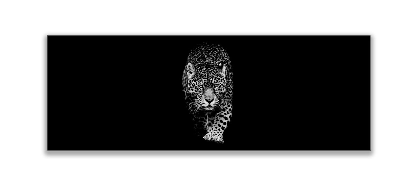 Leopard in Schwarz-Weiß 183 x 61 cm