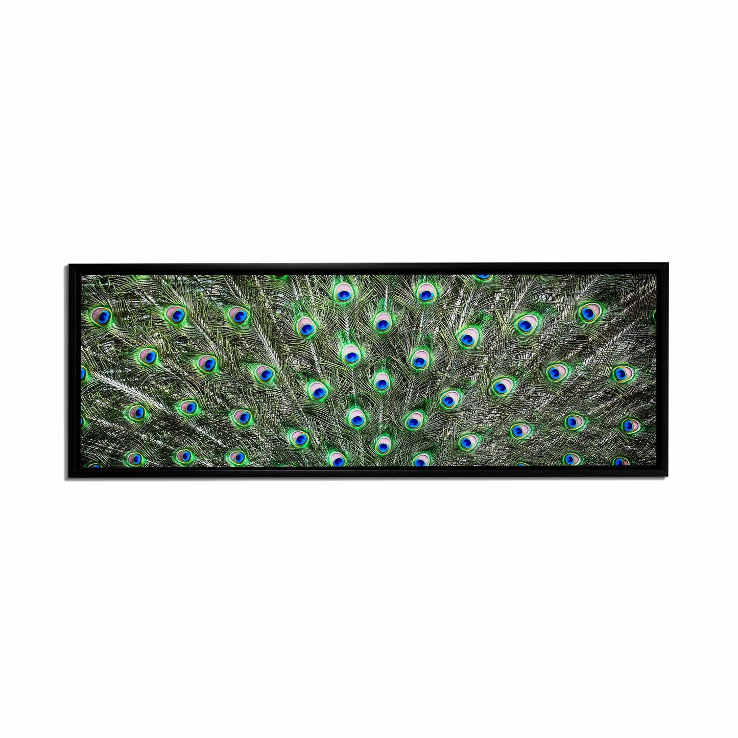 Große Leinwand Wandkunst – Pfauenfedern – Naturkunstwerk