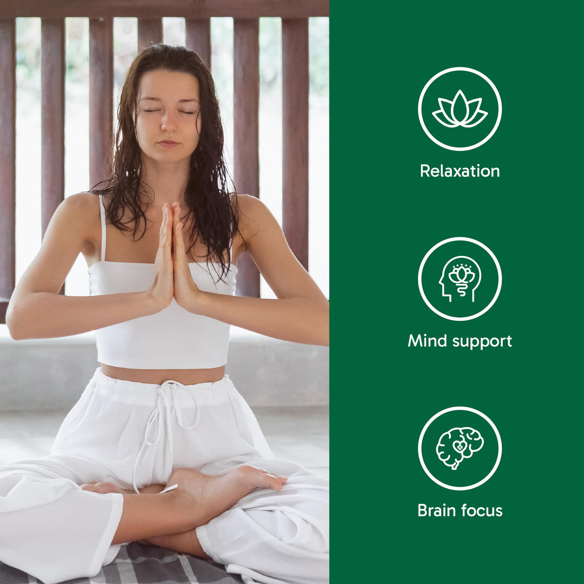 Organika Canadian-Made Mind Calm- with Magnesium Bisglycinate, L-Theanine, GABA, Inositol- Promotes Relaxation and Calm without Drowsiness- 120vcaps 🍁 All In One Marketplace Canada