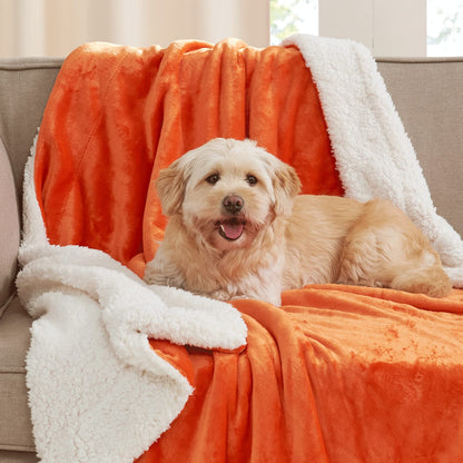 NICETOWN Sherpa Blanket for Kids Back to School, Thick Super Soft Warm Cozy Dual Sided Halloween Lightweight Fleece Plush Ultra Comfy Fuzzy Blankets for Baby/Couch/Sofa/Bed, Twin 60" x 80", Orange