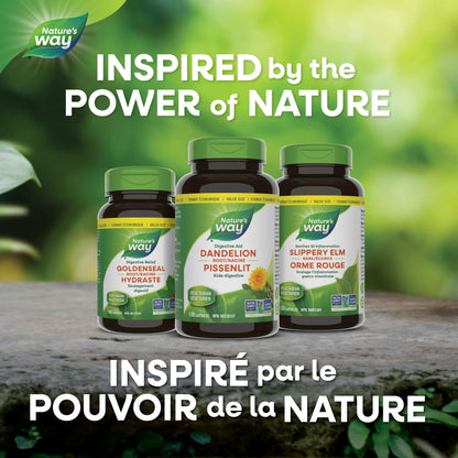 Nature's Way Dandelion Root - Digestion Supplement – Diuretic Laxative - Non-GMO Verified - 180 Vegetarian Capsules, Value Size 🍁 All In One Marketplace Canada
