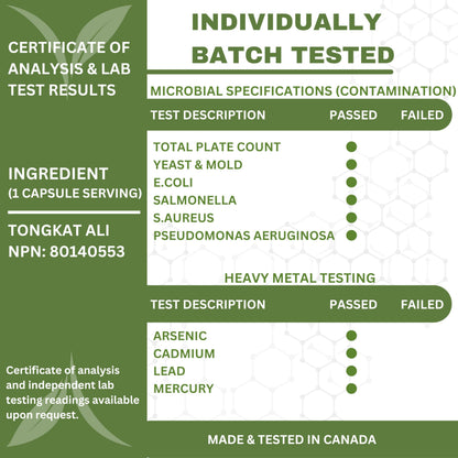 6X Strength Tongkat Ali 600 MG PER SINGLE CAPSULE 60,000 MG Equivalent 100:1 Extract Ratio Highest Potency, OrganiMAXX Longjack Eurycoma Longifolia Non-GMO Premium Tongkat Ali Supplement For Men. 🍁 All In One Marketplace Canada