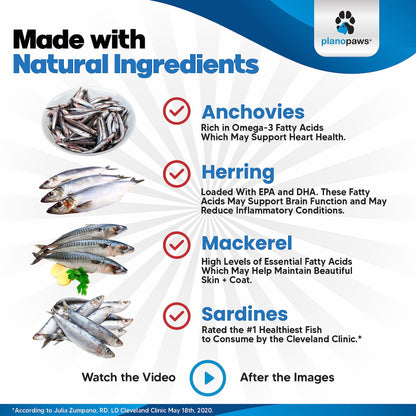 Omega 3 Fish Oil for Dogs – Liquid Dog Fish Oil Supplement – Supports Skin & Coat Health – Joint, Brain & Heart Support – for All Breeds & Ages 🍁 All In One Marketplace Canada