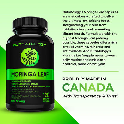 Nutratology® Organic Moringa Leaf Capsules | 1200MG Per Serving | Canadian-Made | Provides Powerful Antioxidants - Protects Against Cell Damage, Supports Liver Detox & Gut Health - 120 Caps 🍁 All In One Marketplace Canada