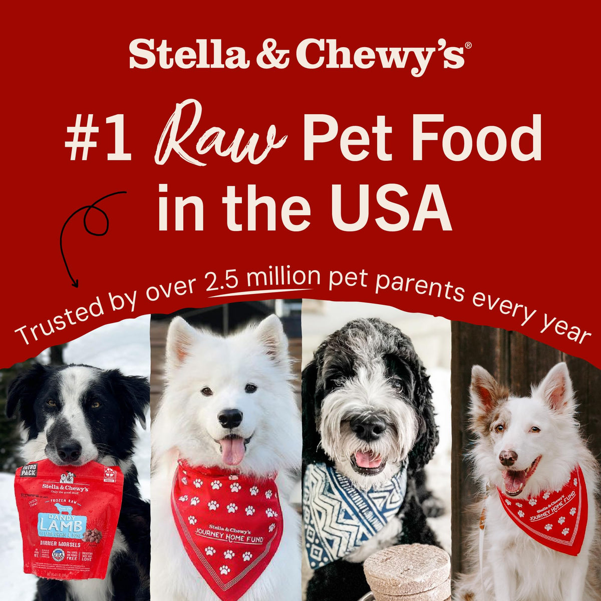 Stella & Chewy’s Freeze Dried Raw Dinner Patties – Grain Free Dog Food, Protein Rich Duck Duck Goose Recipe – 156g Bag 🍁 All In One Marketplace Canada